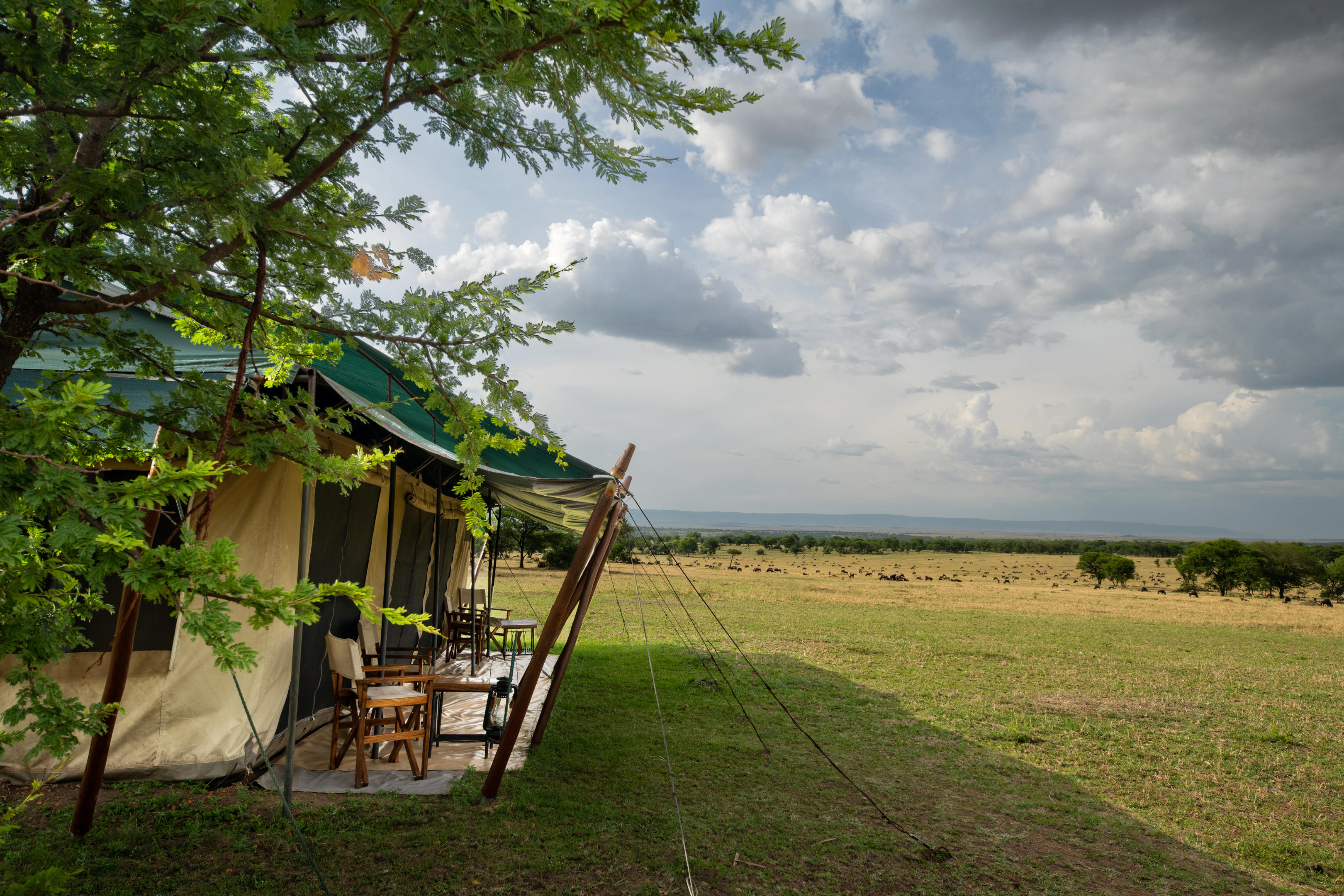 Mara Under Canvas thumbnail 10